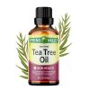 Spring Valley 100% Pure Australian Tea Tree Oil; 2 fl oz