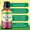 Spring Valley 100% Pure Australian Tea Tree Oil; 2 fl oz