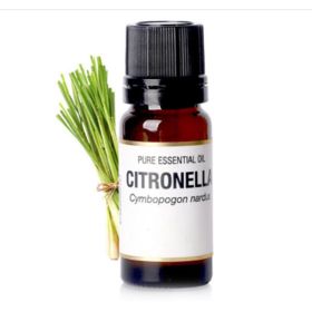 Lemongrass Essential Oil (Option: 10ml)